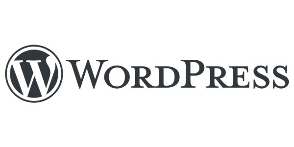 we develop wordpress websites